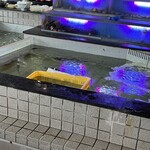 生簀屋 海 - カウンター席の目の前にある生簀(いけす)
