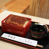 満寿家 - うな重 特上 ご飯大盛