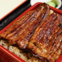 満寿家 - うな重 特上 ご飯大盛