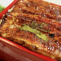 満寿家 - うな重 特上 ご飯大盛