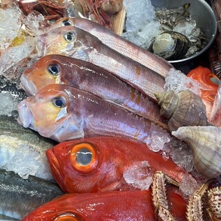 【新鮮さ抜群旬の食材】季節の美味しさを