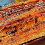 うなぎ 魚政 - うな重