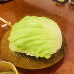 月泉 - レタス包
