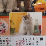 白河手打らーめん　うさぎ - 10月の休みはこちらです！！