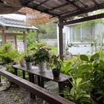 シーハトーブ - 