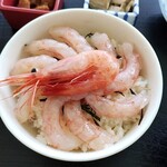 北のにしん屋さん - 小エビ丼