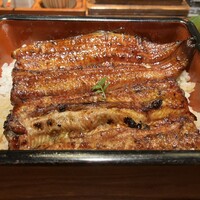 新宿うな鐵 はなれ - うな重特上