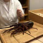 日本料理 みや  - 