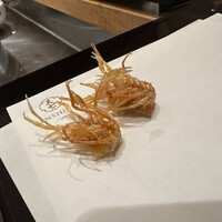 天七 - 