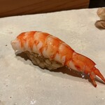 浅草壽司清 - クルマエビ