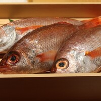 のどぐろ専門 銀座中俣 極 - 