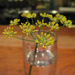 京都 ネーゼ - 20091109 寫眞３