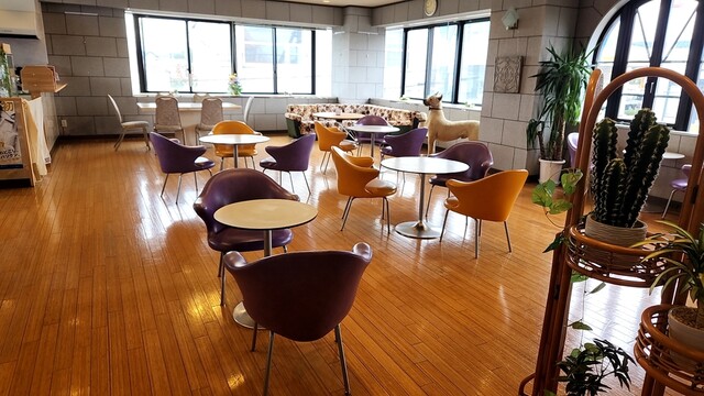 口コミ一覧 : リブラぴあ〜の ルアーナの写真