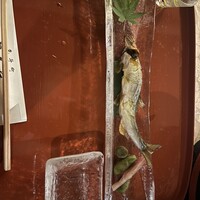 京料理 先斗町 富美家 - 