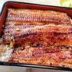 札幌のうなぎや - 特うな重
