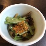 養鱒センターきたがわ - 