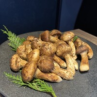 USHIGORO S. SHINJUKU - 