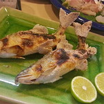 飛騨 - 【春】鮎塩焼き。春らしい味わい。
