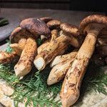 USHIGORO S. GINZA - この日の松茸