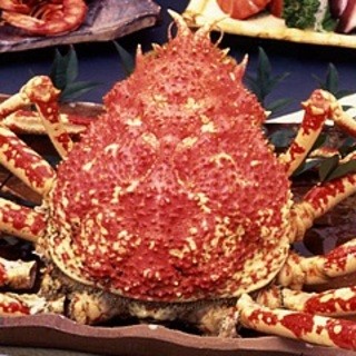 さかなや 魚清 さかなや うおせい 沼津市その他 かに 食べログ