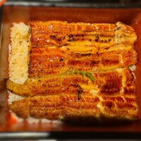 新宿うな鐵 はなれ - 特上