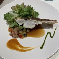 Loiseau de France -  Loiseau de France -