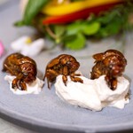 アントシカダ - 2024.9 セミと野草のピタサンド（1,200円）