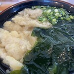 うどん えん - 麺が見えない程の具の多さ