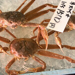 市場寿し - ズワイカニ。1500円。
