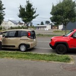 ぶた丼のとん田 - 駐車場に入るのに30分待ちでした