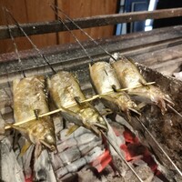心根 - 