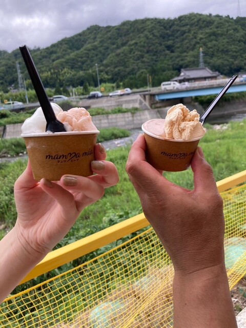 ジェラテリア mamma mia （マンマミーア） - 用瀬/ジェラート・アイス