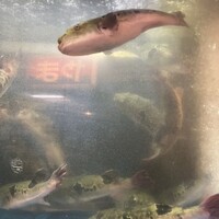 とらふぐ亭 池袋東口店 - 