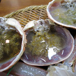 漁火亭 - 間人（たいざ）がにを堪能　間人がにコース