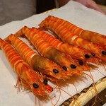 千葉たかおか - ⑲茹で立て車海老(千葉県竹岡産)
      産卵は初夏～初秋、旬は初夏～初秋