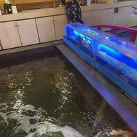 いけす鶴八 新栄店 - 