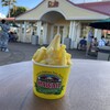 Dole Plantation