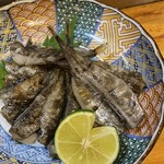 鮨 ひでぞう - メヒカリ一夜干し