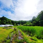 Mikuriya - 周邊環境