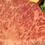 鉄板焼 石狩 - 石狩特選 A-5 
      北海道敷島ファーム産黒毛和牛
      「白老和牛」
      サーロインステーキ100g