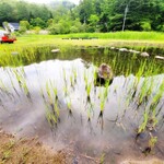 御厨 - 周辺の雰囲気