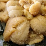 柿崎商店 海鮮工房 - うに丼(余市産 白塩水丼) ドアップ