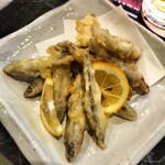 イザカヤ たくと - 