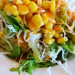 ステーキのどん - ランチミニサラダ 込165円