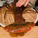 御料理 まつ山 - 鹿児島の伊勢海老