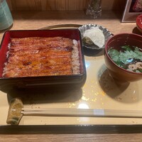 うなぎ 目白ぞろ芽 - 