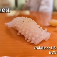 寿司割烹やまちょう - 