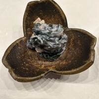西麻布 拓 - 