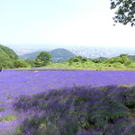 手打ち蕎麦 こはし - 幌見峠から札幌市内を望む