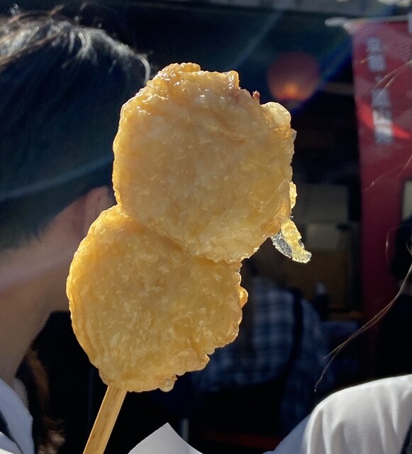 Kyoto Arashiyama Yuba Cheese Honpo Hon Ten photo 2